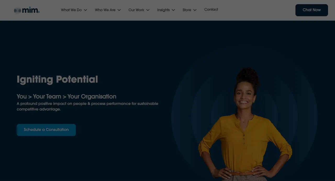 Masters in Minds homepage